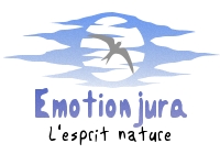 Emotionjura, l'esprit nature